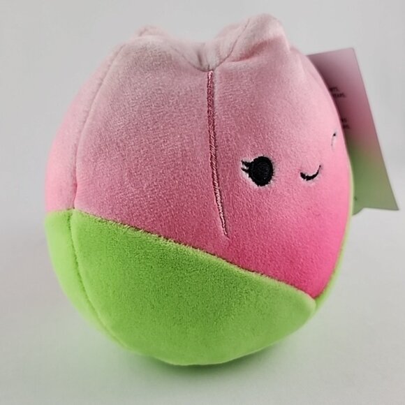 Squishmallows Original 4 x 8 Plush Toys Bundle Ladee Molly Bridgie Walsh Small - Picture 12 of 16